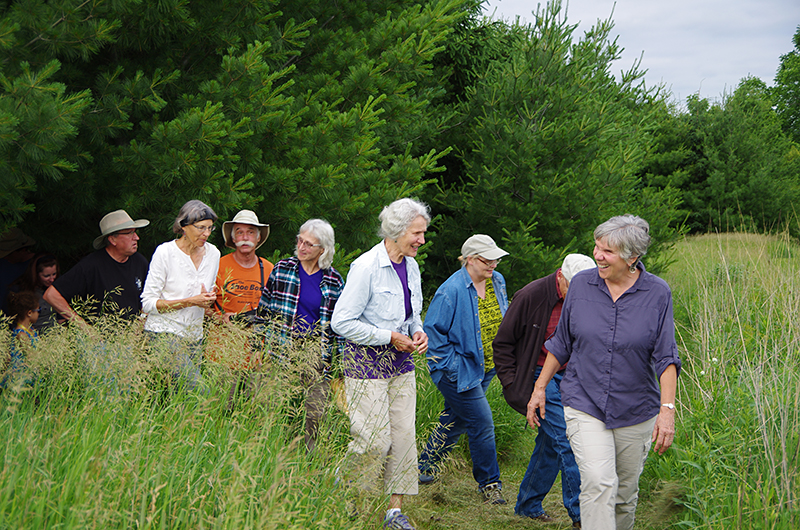 People hiking