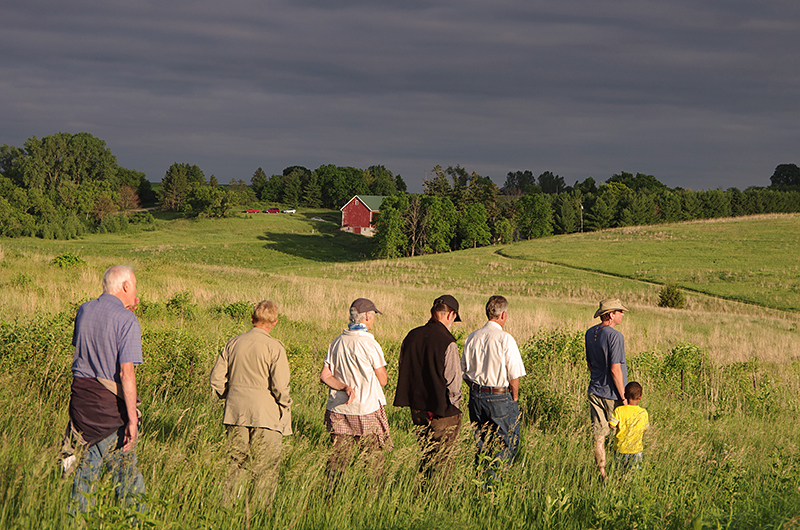 Hike through a grassland