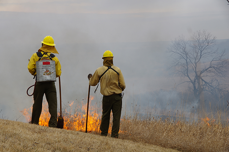 2 men watching a controlled burn