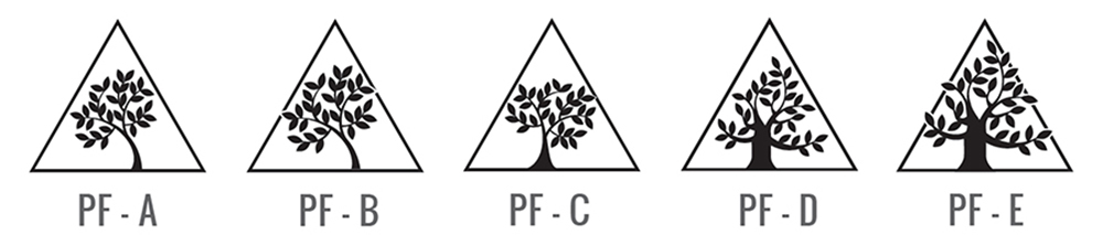 black and white images of trees
